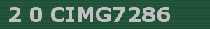 2 0 CIMG7286