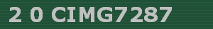 2 0 CIMG7287