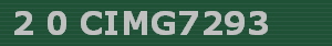 2 0 CIMG7293