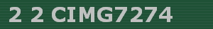 2 2 CIMG7274