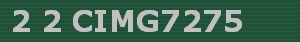 2 2 CIMG7275