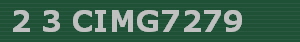 2 3 CIMG7279